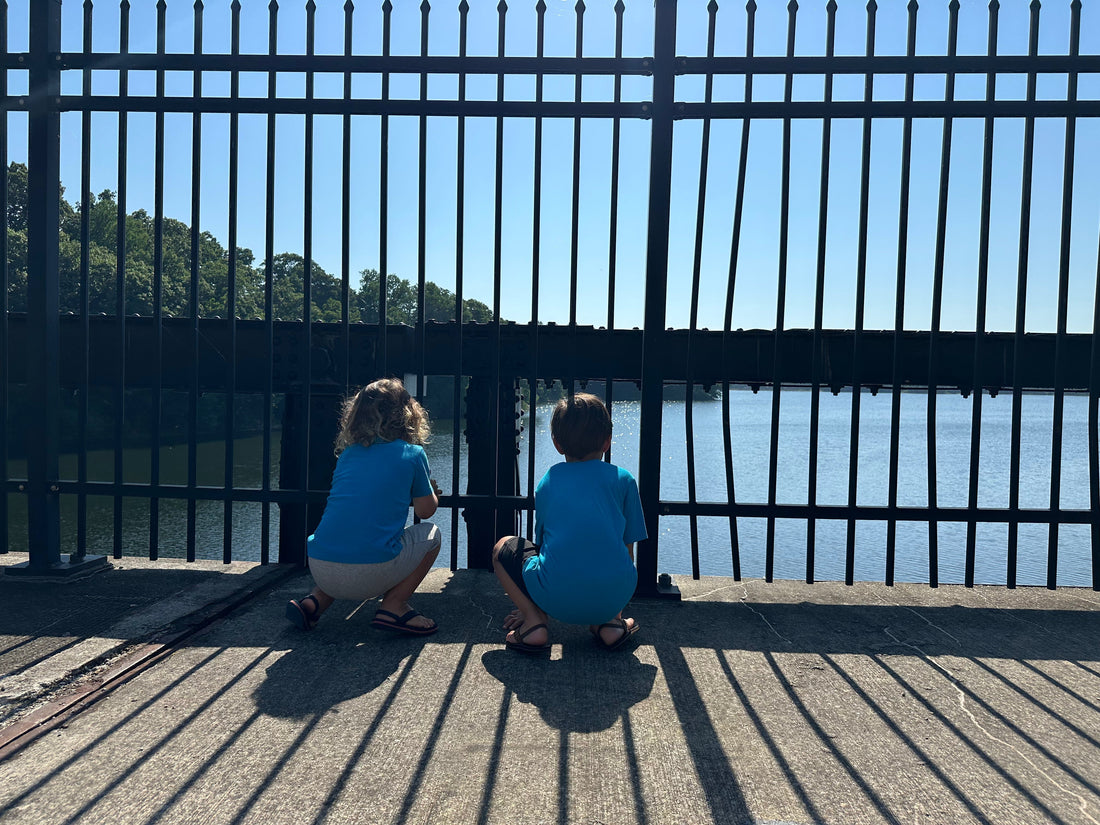 The Bridge Below the Bridge